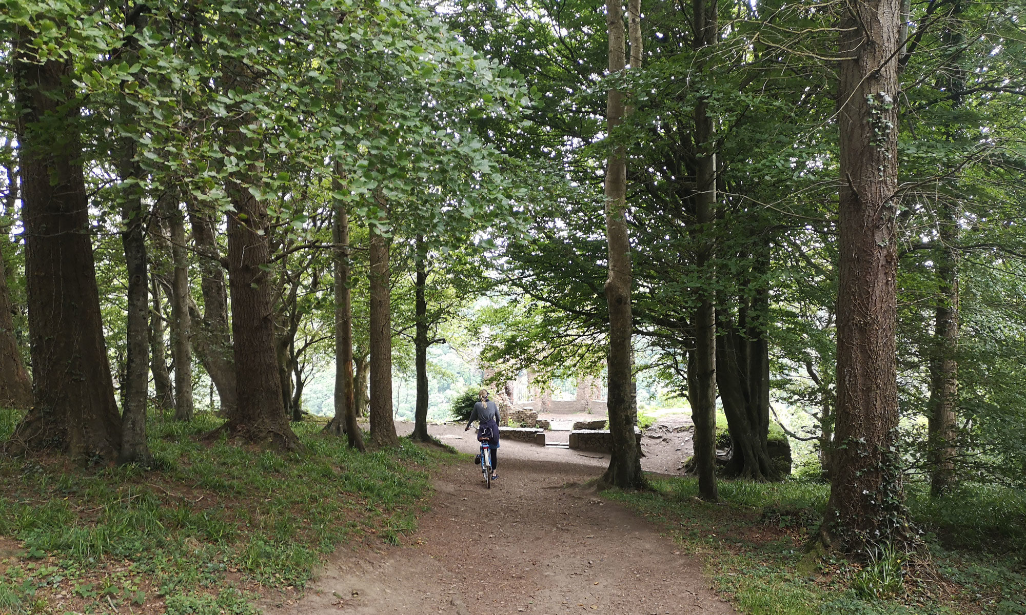 The Glen of the Downs